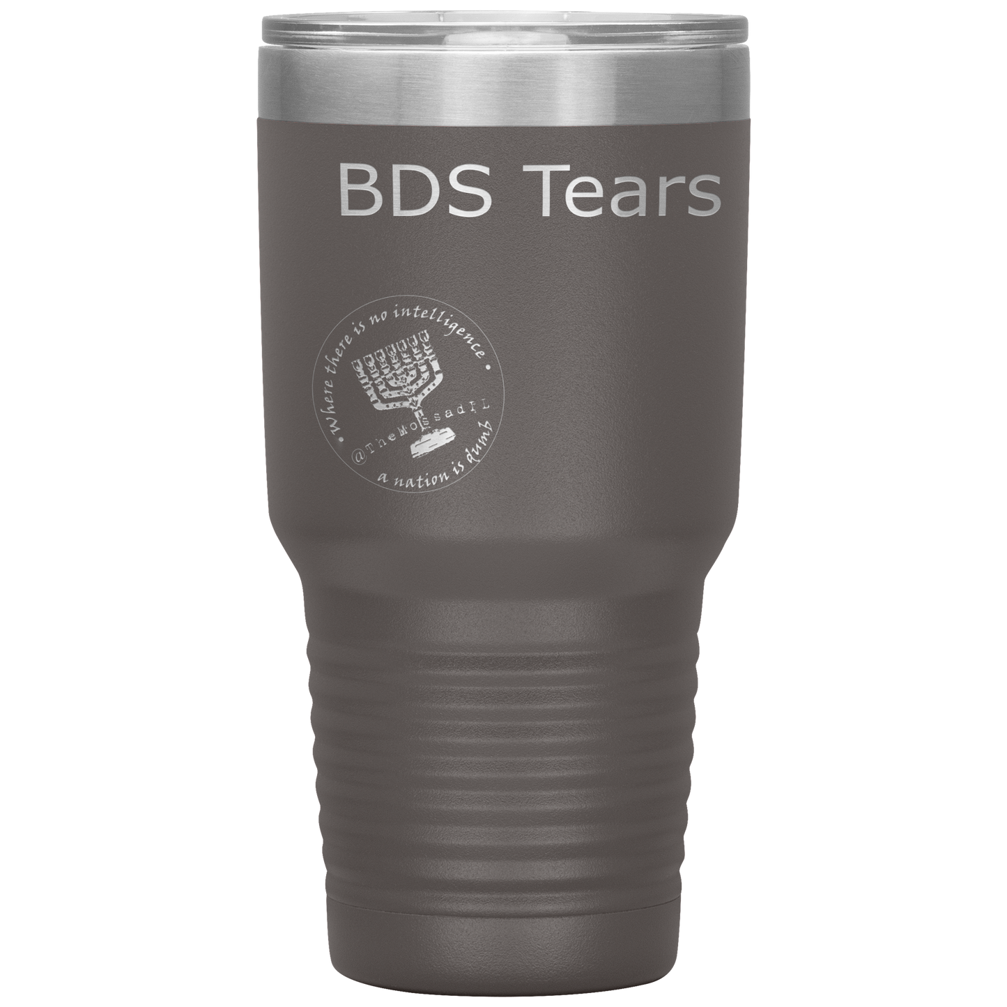 BDS_Tears_30oz_Insulated_Tumbler_30oz_Tumbler_Pewter_Mockup.png